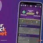 spicy loja, - 1 spicy loja, - 1